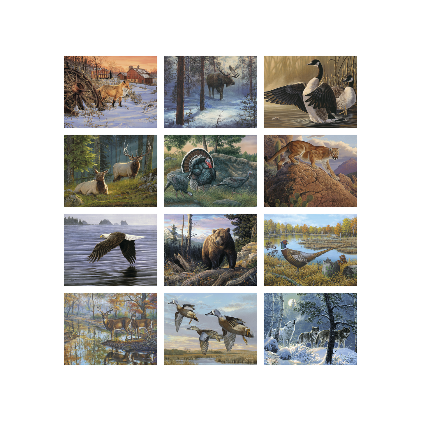 Calendar Wildlife
